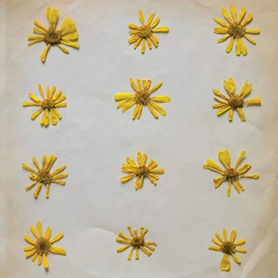 Imagen de Flowers In The Spring [Vinilo]