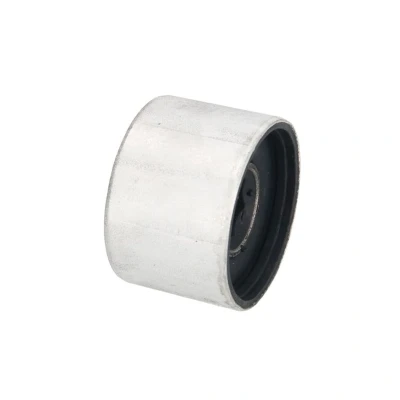 Imagen de REINHOCH RH14 0065 Silentblock brazo de Suspension Eje delantero, debajo, ambos lados, posterior para oscilante transversal