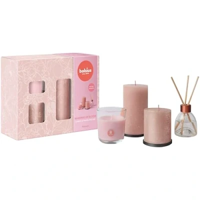 Imagen de Bolsius Velas rústicas con difusor de varillas y vela perfumada Juego 4 unidades Whispers of Bloom Magnolia decorativas para el hogar Largo tiempo combustión