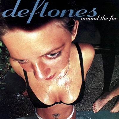 Imagen de Around The Fur [Vinilo]