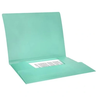 Imagen de Carpeta liderpapel gomas solapas polipropileno din a4 verde manzana opaco