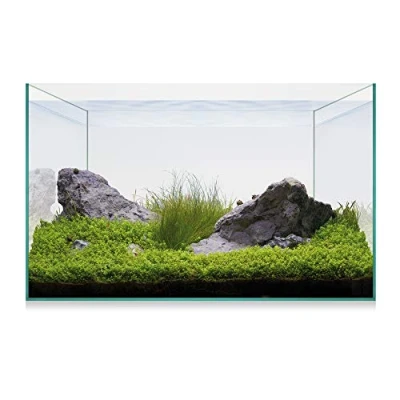 Imagen de ICA Kit Aquascape Basic 20 18 ml
