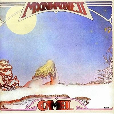 Imagen de Moonmadness [Vinilo]