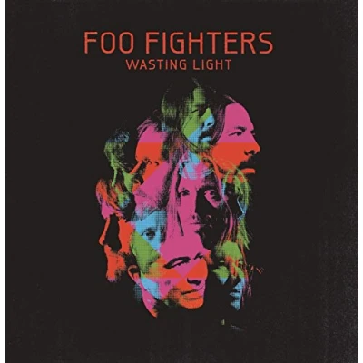 Imagen de Wasting Light [Vinilo]