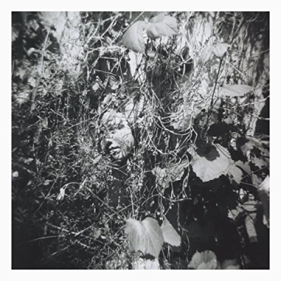 Imagen de Now Is The Last Best Time Vinilo