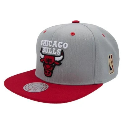 Imagen de Mitchell &amp; Ness NBA/HWC Special Snapback Chicago Bulls, Gris/Rojo