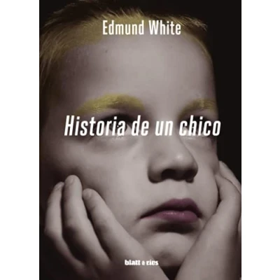 Imagen de Historia de un chico (SIN COLECCION)