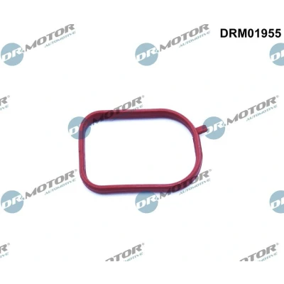 Imagen de DR.MOTOR AUTOMOTIVE DRM01955 Juntas FORD: Focus 2, FIESTA 5, KUGA 2