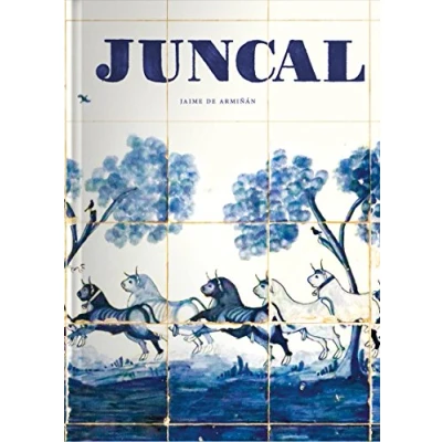 Imagen de Juncal: 12 (NARRATIVA)