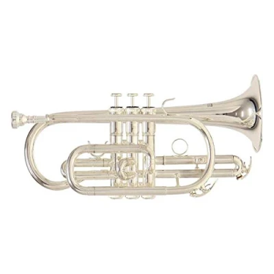 Imagen de Roy Benson RB701092 Corneta en Sib CR 202S, estuche ligero rectangular, color plateado