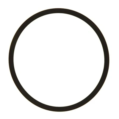 Imagen de Anillo Torico