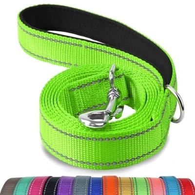 Imagen de Joytale Correa para Perro Reflectante de Doble Cara, Perros con Mango Acolchado, Adiestramiento Pequeños y Perrito, 120x2cm, Verde
