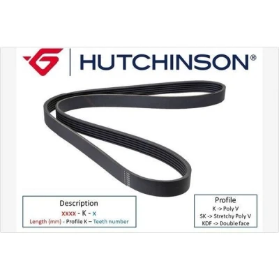 Imagen de Correa trapecial poli V HUTCHINSON 1705 K 6