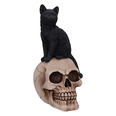 Imagen de Nemesis Now Familiar Fate Figura de Gato y Calavera (24,3 cm), diseño Brujas Negras, Resina, 24.3cm