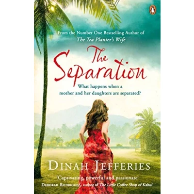 Imagen de The separation