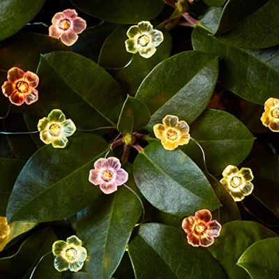 Imagen de Lights4fun Cadena Luminosa de 20 Flores Multicolores con LED Blancos Cálidos a Pilas para Exteriores
