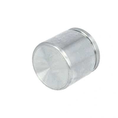 Imagen de AUTOFREN SEINSA D025290 Émbolo, pinza del freno 51 Eje delantero BOSCH