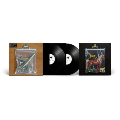 Imagen de Ants From Up There [Vinilo]