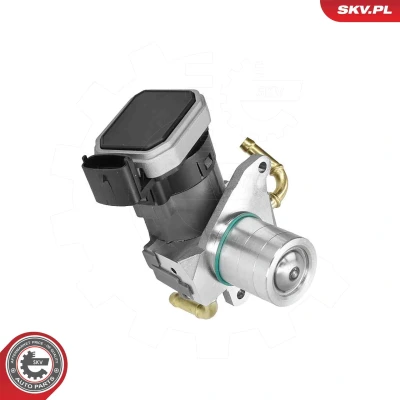 Imagen de Válvula EGR ESEN SKV 14SKV303