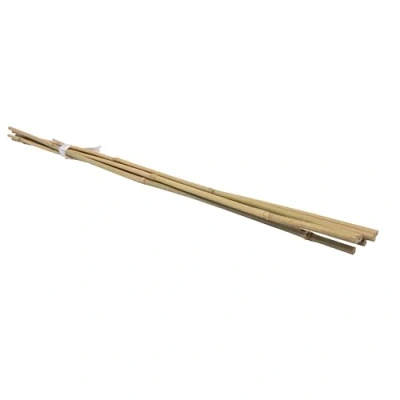 Imagen de Paquete de 6 tutores bambú WERKA PRO H 150 cm (Ø 14 16 mm)
