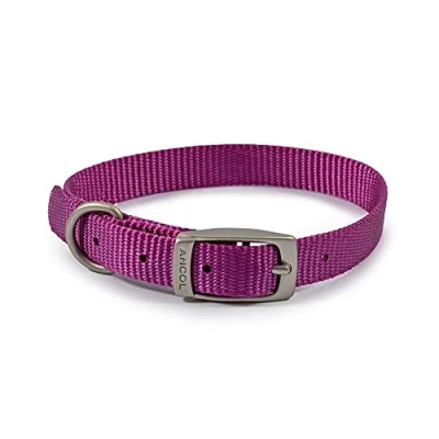Imagen de Ancol Viva Collar Ligero con Hebilla, Color Morado, Talla 1 para Adaptarse a 20 26 cm, Resistente la Intemperie