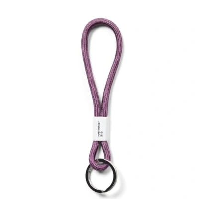 Imagen de Pantone Key Chain Llavero 18 centimeters Morado (Ultra Violet 3838)