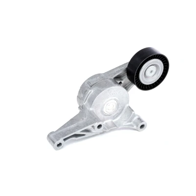 Imagen de SKF VKM 31054 Polea Tensora SEAT: Altea, Leon II Hatchback, AUDI: A3 Sportback, VOLKSWAGEN: Transporter 5 Bus norauto, oscaro, mister auto