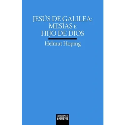 Imagen de Jesús de Galilea: Mesías e Hijo Dios: 220 (Verdad Imagen)