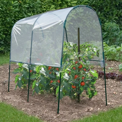 Imagen de ProBache Invernadero para tomates (2 m