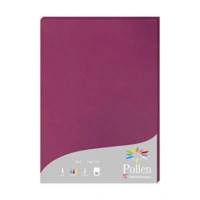 Imagen de Clairefontaine 14206C Caja de 50 Hojas polen 21x29,7 cm 160g, Frambuesa