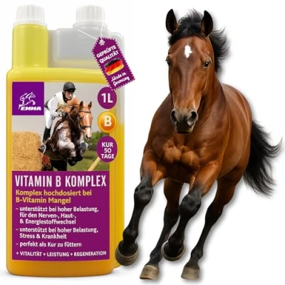 Imagen de complejo vitamínico B Caballo 1L Líquido I Vitamina altamente dosificada con B1 B2 B6 B12 vitaminas el favorece la musculatura sistema inmunitario metabolismo nervioso