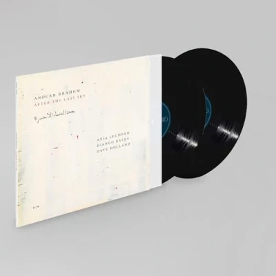 Imagen de After The Last Sky [Vinilo]