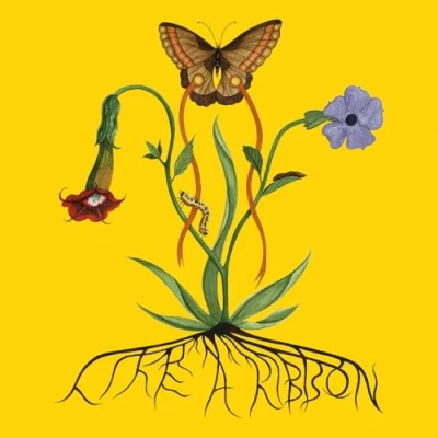 Imagen de Like a Ribbon [Vinilo]