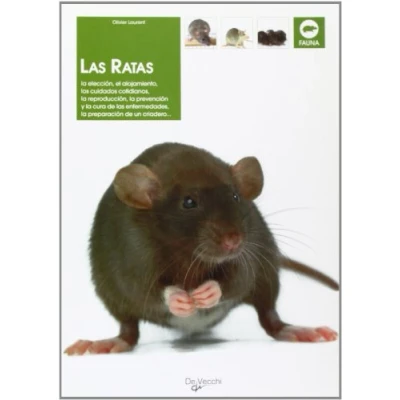 Imagen de Las ratas (Animales)