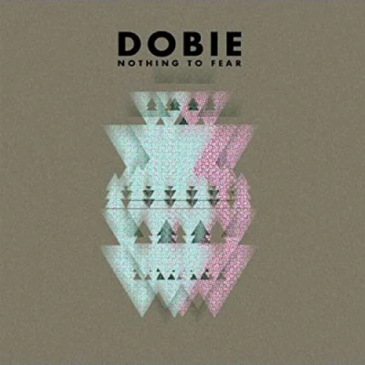 Imagen de Nothing To Fear (vinilo)