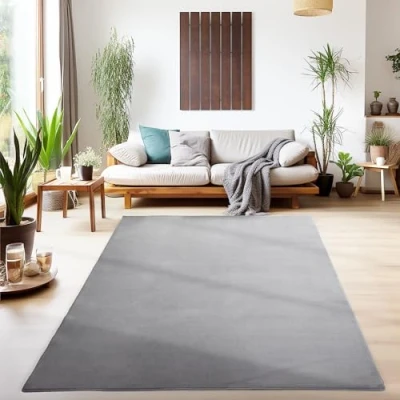 Imagen de SIMPEX Alfombras de Pelo Corto, Unicolor Monocromo, Alfombra Gris, 80 x 150 cm, Estilo Moderno, Sala Estar