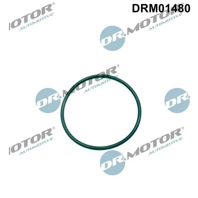 Imagen de Junta, bomba de inyección Dr.Motor Automotive DRM01480