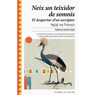 Imagen de Neix un teixidor de somnis: El despertar d escriptor: 18 (Ciclogènesi)