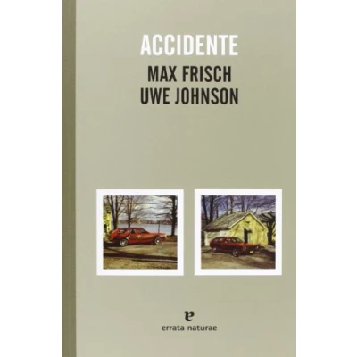 Imagen de Accidente (EL PASAJE DE LOS PANORAMAS)