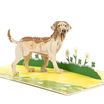 Imagen de tarjeta pop up para perros, de felicitación, amistad, regalo, sorpresa con un gran perro (Labrador) y una pradera verde 3D, color beige
