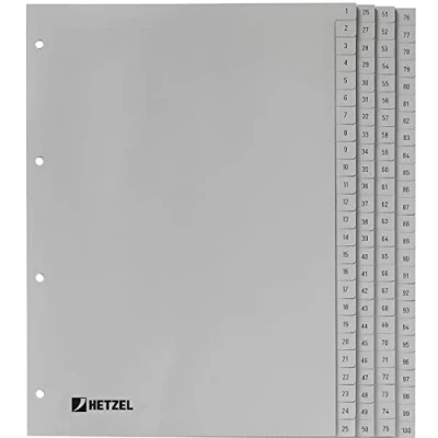 Imagen de Rexel HETZEL 721311 Separadores plástico de polipropileno A4 1 100 , color gris