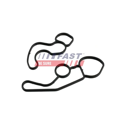 Imagen de FAST FT48961 Juntas