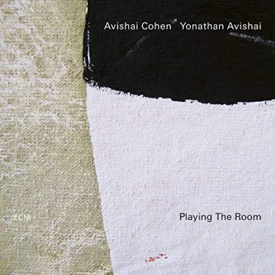 Imagen de Playing The Room [Vinilo]
