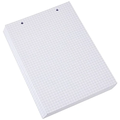 Imagen de Paquet 100 Fiches Bristol Format Sous Film Blanc Quadrille 5x5 Perfore 148x210mm