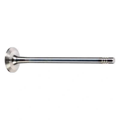 Imagen de FEBI BILSTEIN 176537 Válvula de Escape 24