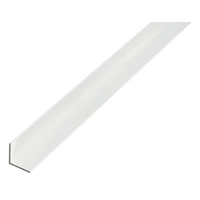 Imagen de Alberts 470876 Perfil angular, Aluminio, anodizado plata, 1000 x 20 mm