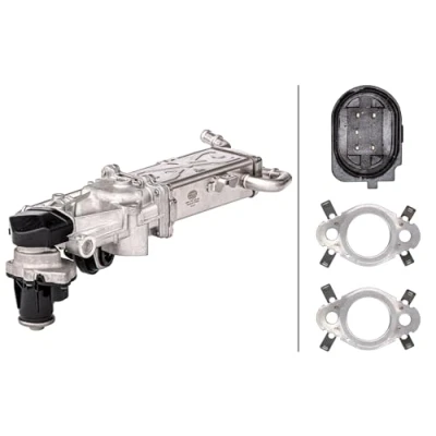 Imagen de HELLA 6NU 358 167 021 Módulo AGR con juntas, radiator EGR válvula SEAT: Ibiza 4, 4 Sportcoupe, ST