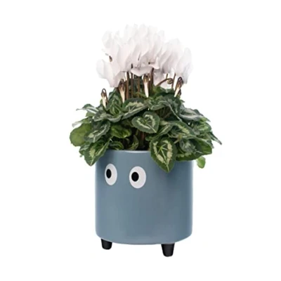 Imagen de Fisura Macetero original con diseño de ojos. decorativo interior. patas para cactus. Maceta cerámica flores y suculentas.13 x 12,5 cm. (Azul)