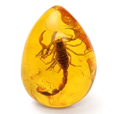 Imagen de Collar con colgante de escorpiones piedra insectos incrustaciones ámbar báltico