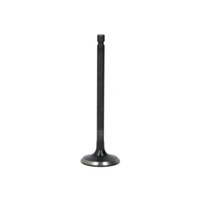 Imagen de FRECCIA R6407/SNT válvula de Admisión 32 Vástago nitrurado KIA: CARENS 2